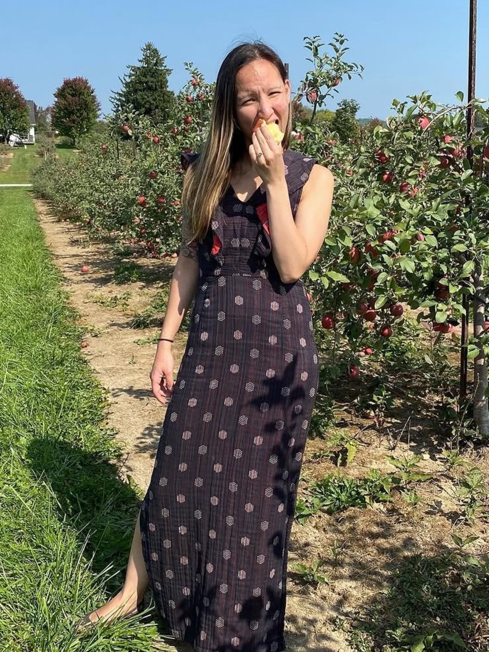 Ace & Jig Magdalena dress in Biscotti (Navy Maxi Dress with Subtle Dot Pattern)